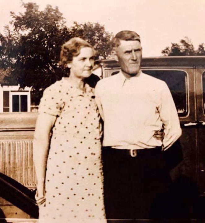 Century-old Valley oak and fields at Ezra Lee Farm